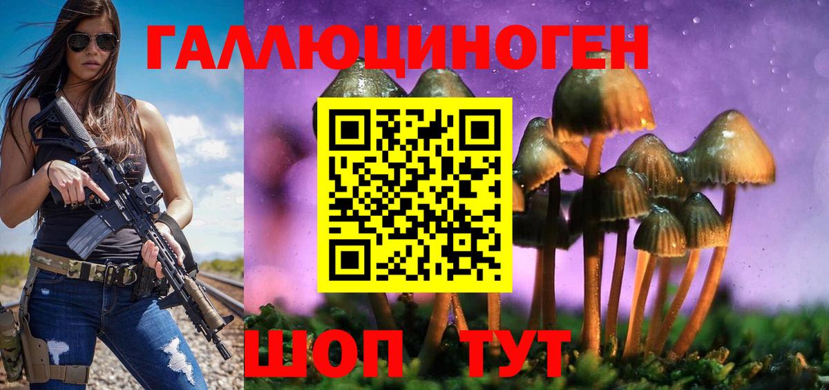 Псилоцибиновые грибы Cubensis Кемерово